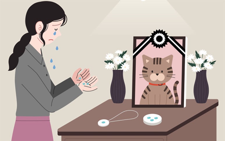 ‘고양이 장례 절차’, 강아지와 다른 점은? 굿바이엔젤이 알려주는 ‘고양이 화장’ 팁
