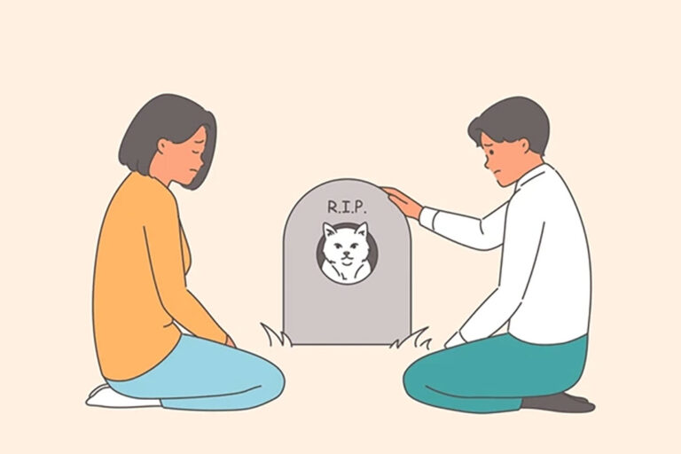 굿바이엔젤 후기