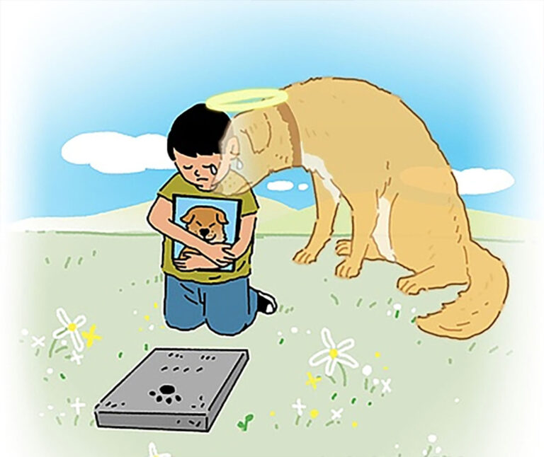 강아지 무지개다리