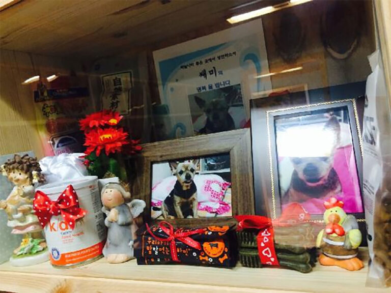 굿바이엔젤 후기