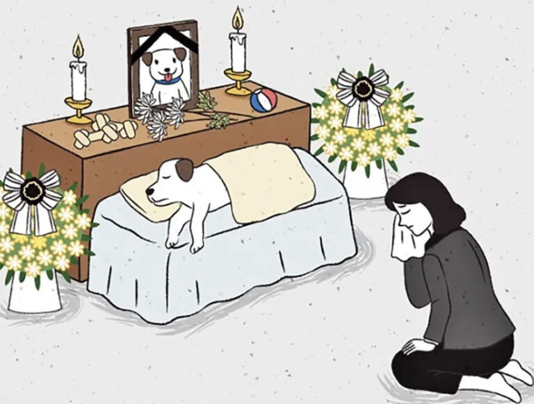 반려동물 장례식장