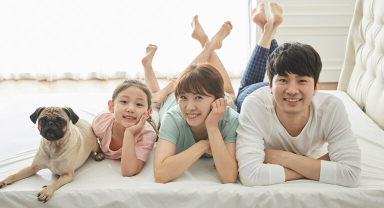 반려동물장례식장