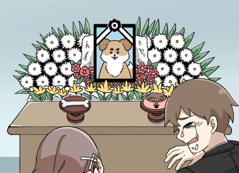 수원 강아지 장례