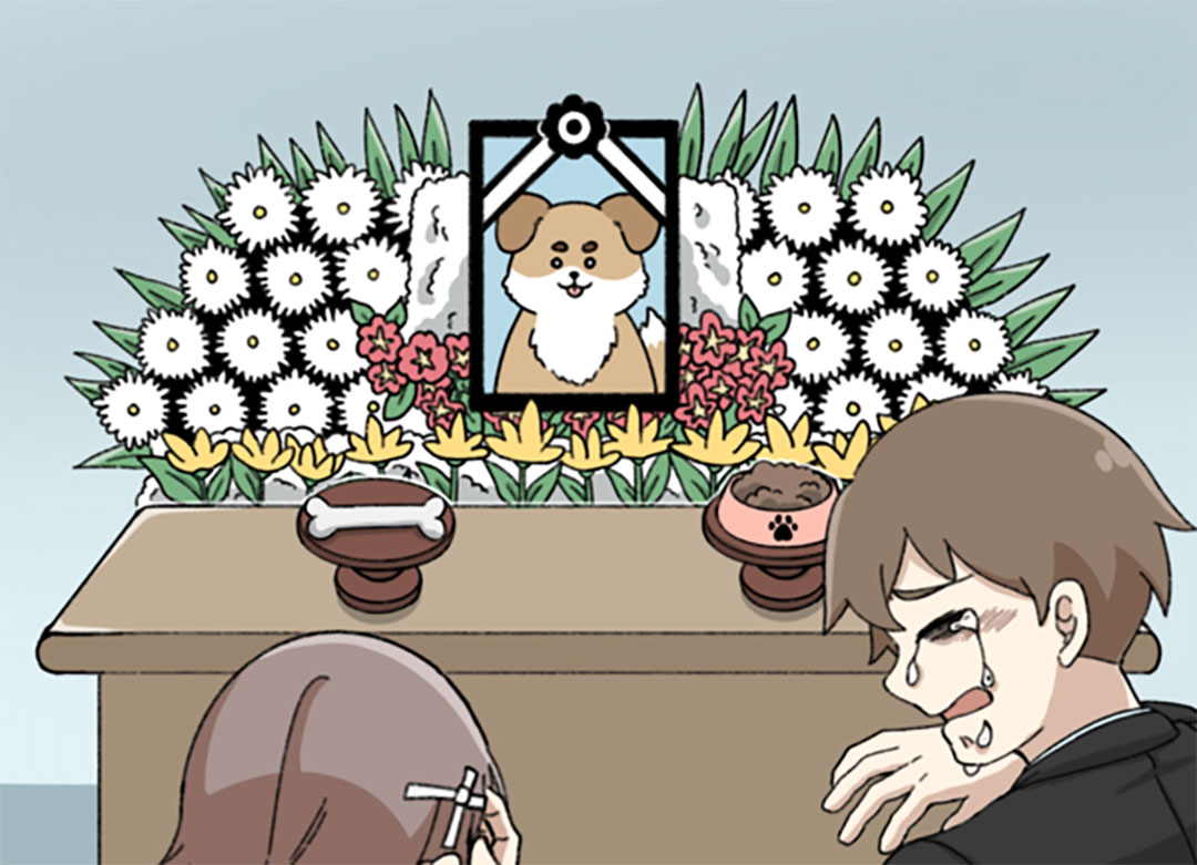 수원 강아지 장례